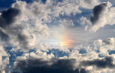 小孩发烧病毒感染的血常规