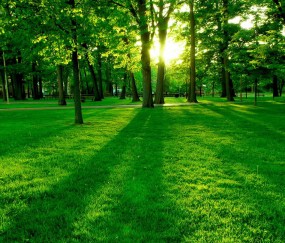 昆明试管私立医院有供卵的吗，附2024供卵助孕时间、费用！