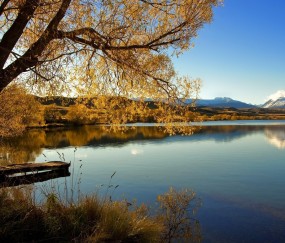 小孩发烧引起的淋巴结肿大怎么办