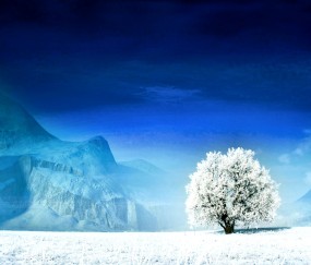 小孩发烧一般最多几天