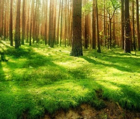 夏季小孩睡觉手脚冰凉不发烧