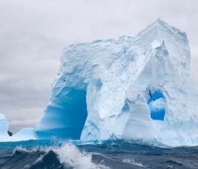 小孩发烧能不能多吃东西