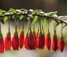 小孩发烧应该推拿哪里视频