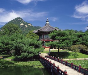 小孩发烧酒精对温开水擦