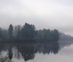 小孩发烧有痰先喝退烧药还是