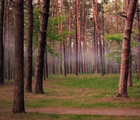 福州借卵生子机构医院，附2024试管供卵医院挑选指南！