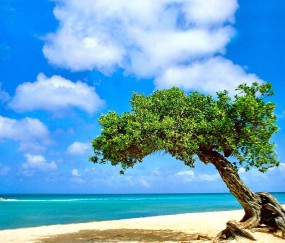 小孩身上很烫出汗发烧