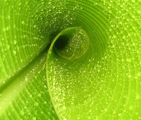 昆明7家供(借)卵试管婴儿医院最新排名，40岁胚胎着床率达51%！