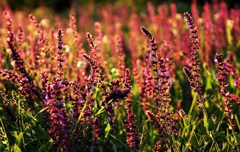 小孩受到惊吓发烧发抖