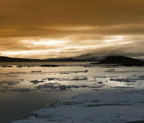 小孩打冷战然后发烧