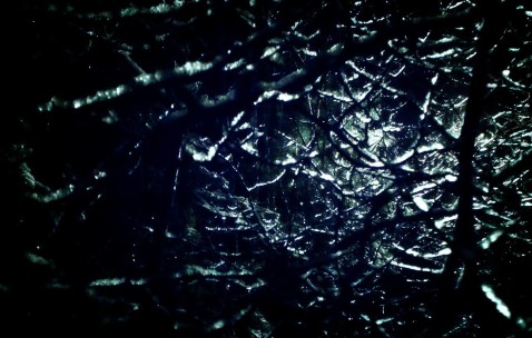 小孩抗生素停了发烧