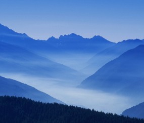 小孩拉肚能引起发烧吗