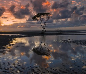 小孩发烧出了汗还要吃布洛芬吗