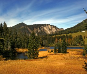 八个月小孩发烧药药名