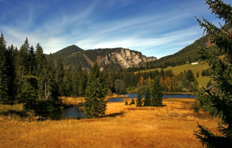 昆明供卵试管需要多少钱，附靠谱试管中介公司挑选指南！