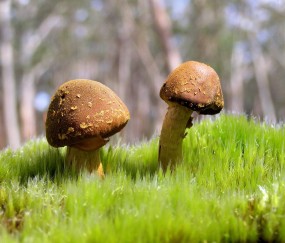 小孩第一次发烧时不时一跳一跳的