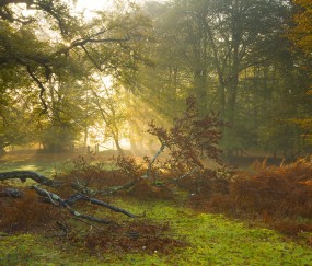 昆明供卵不用等医院大全，5家医院均拥有供卵技术！