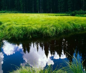 小孩发烧呕吐后退烧一直反复