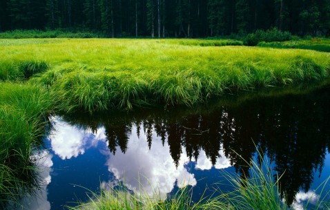 试管成功率高的医生是
